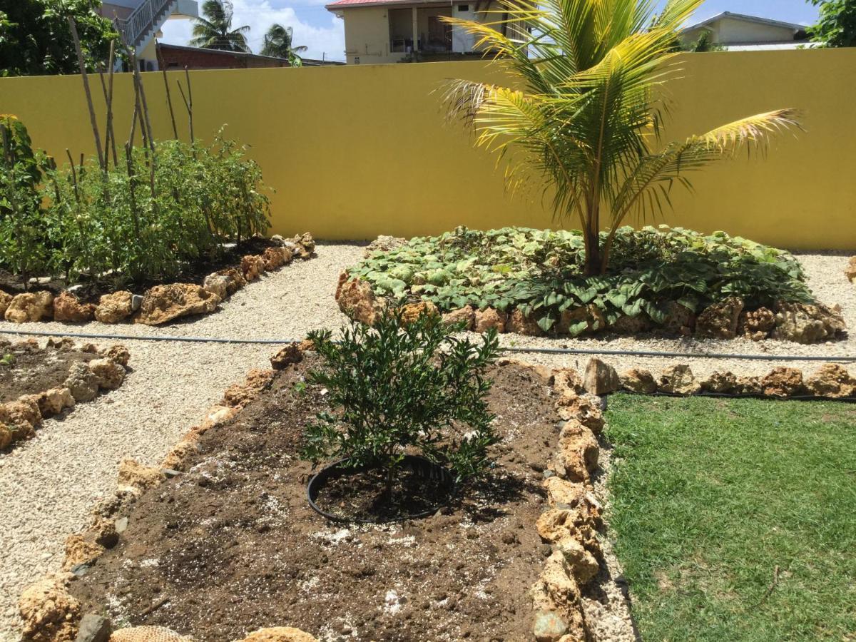 Cc Best Villas Tobago Lowlands 外观 照片